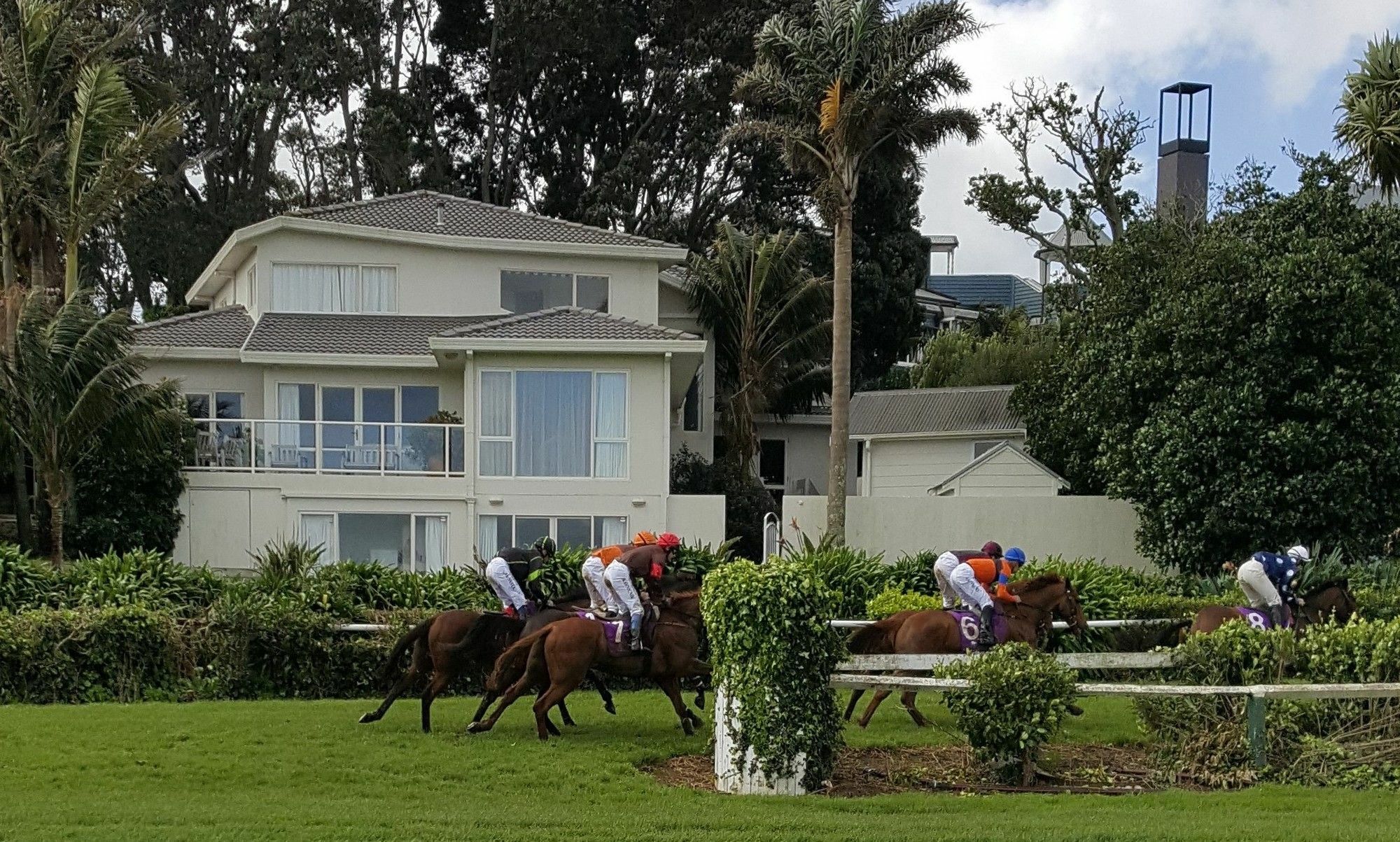 Apartament Racecourse Deluxe Auckland Zewnętrze zdjęcie
